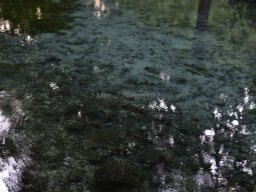 Ciudad de Caravaca 2012